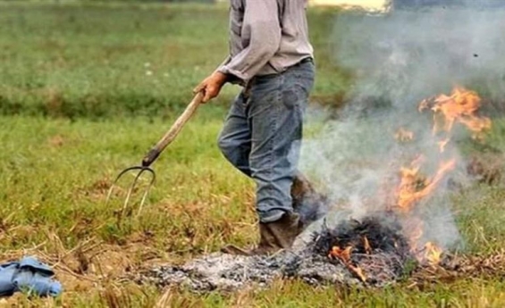 Toscana Rischio incendi: proroga al 21 settembre del divieto abbruciamento
