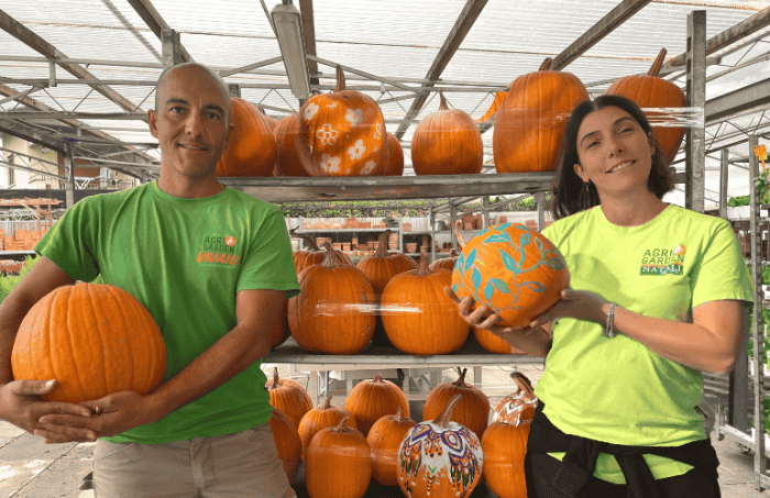 Valdinievole, zucche di Halloween tra vivaio e arte