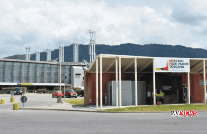 MEFIT, Mercato dei Fiori: regia tecnica sì, politica no.