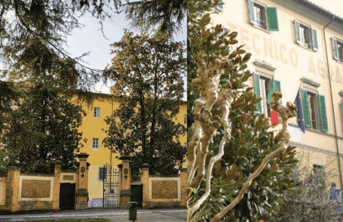 Accorpamento scuole, Franchi: “Difenderemo l’autonomia”