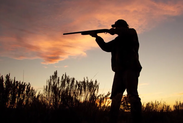 Chiesina: Piano Faunistico, incontro online e in persona