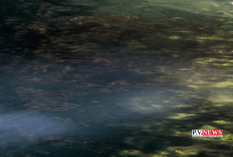 Essenze, Francesco Marraccini in mostra a Serravalle