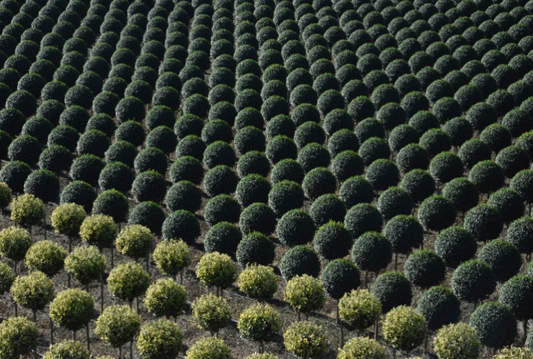 Vivaismo, confronto su Europa e imprese a Pistoia
