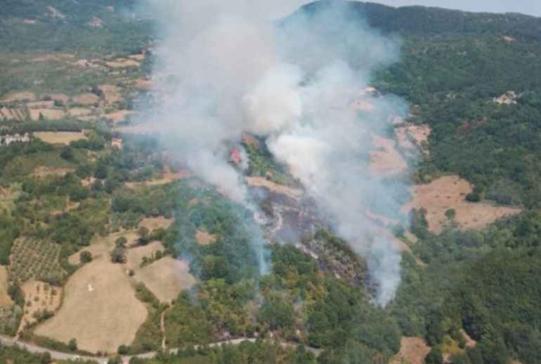 Incendi boschivi, nasce Aib-Wind per il meteo