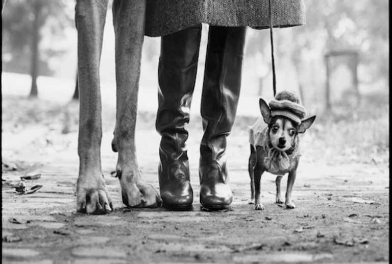 Elliott Erwitt, cento foto e l’arte di osservare