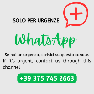 Contatta LinkFacile su WhatsApp