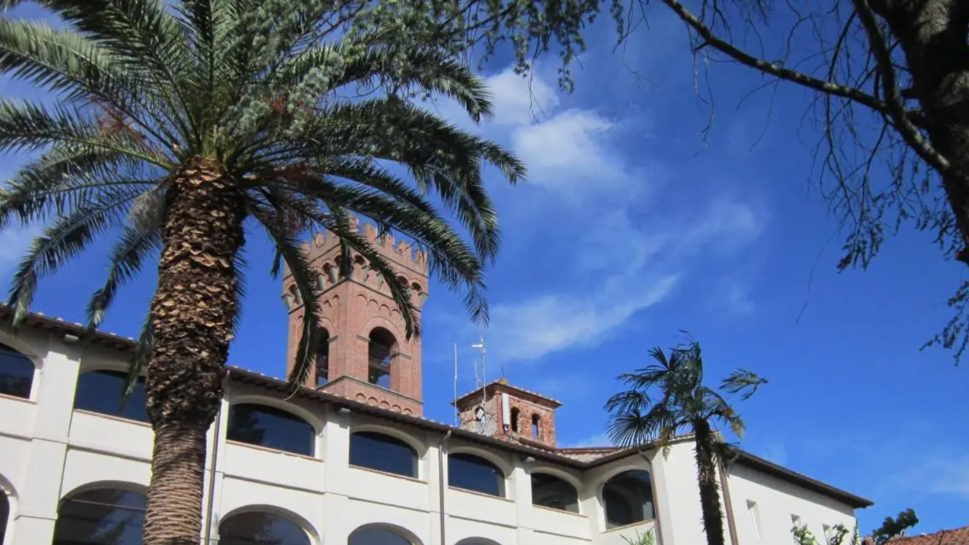 montecarlo sere d'estate programma eventi 2025