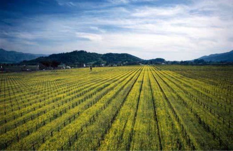 confagricoltura toscana aree protette 2025