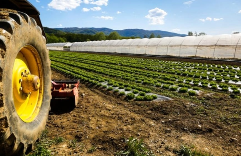 Confagricoltura consorzi bonifica aziende agricole