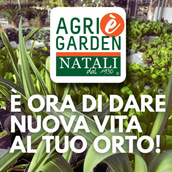 350x350 agrigarden orto 26 cronaca