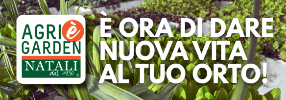 584-x-204-agrigarden-orto-26