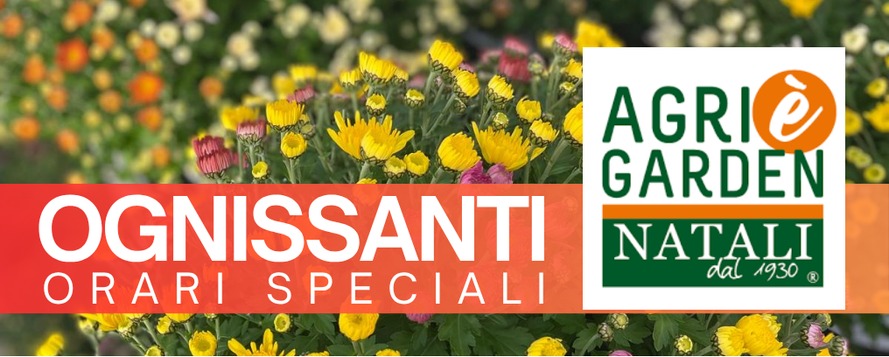 508x204 Garden Natali orari ognissanti