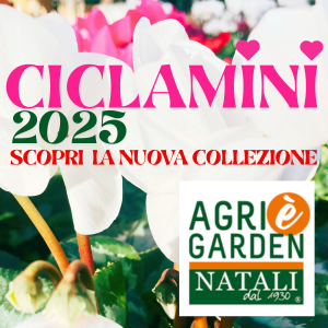 Ciclamini mobile 300x300 