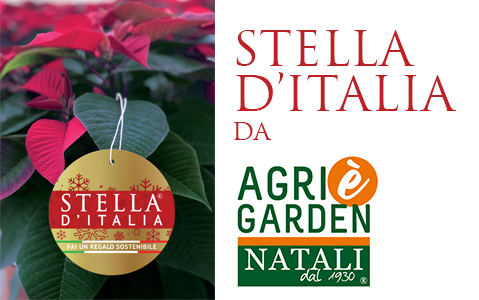 NATIVESTELLAAGRIGARDEN