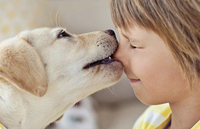 Sanità, amici a quattro zampe fiutano crisi glicemiche