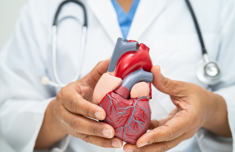 Prevenzione cardiovascolare a Pescia: prenotazioni dal 20/9