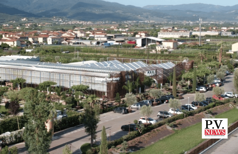 naturat alto