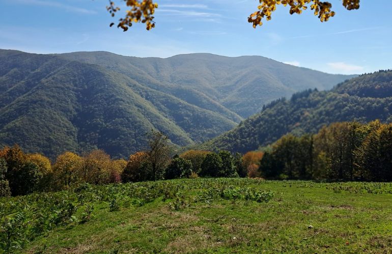 programma osservazione 2025 rifugio faggione